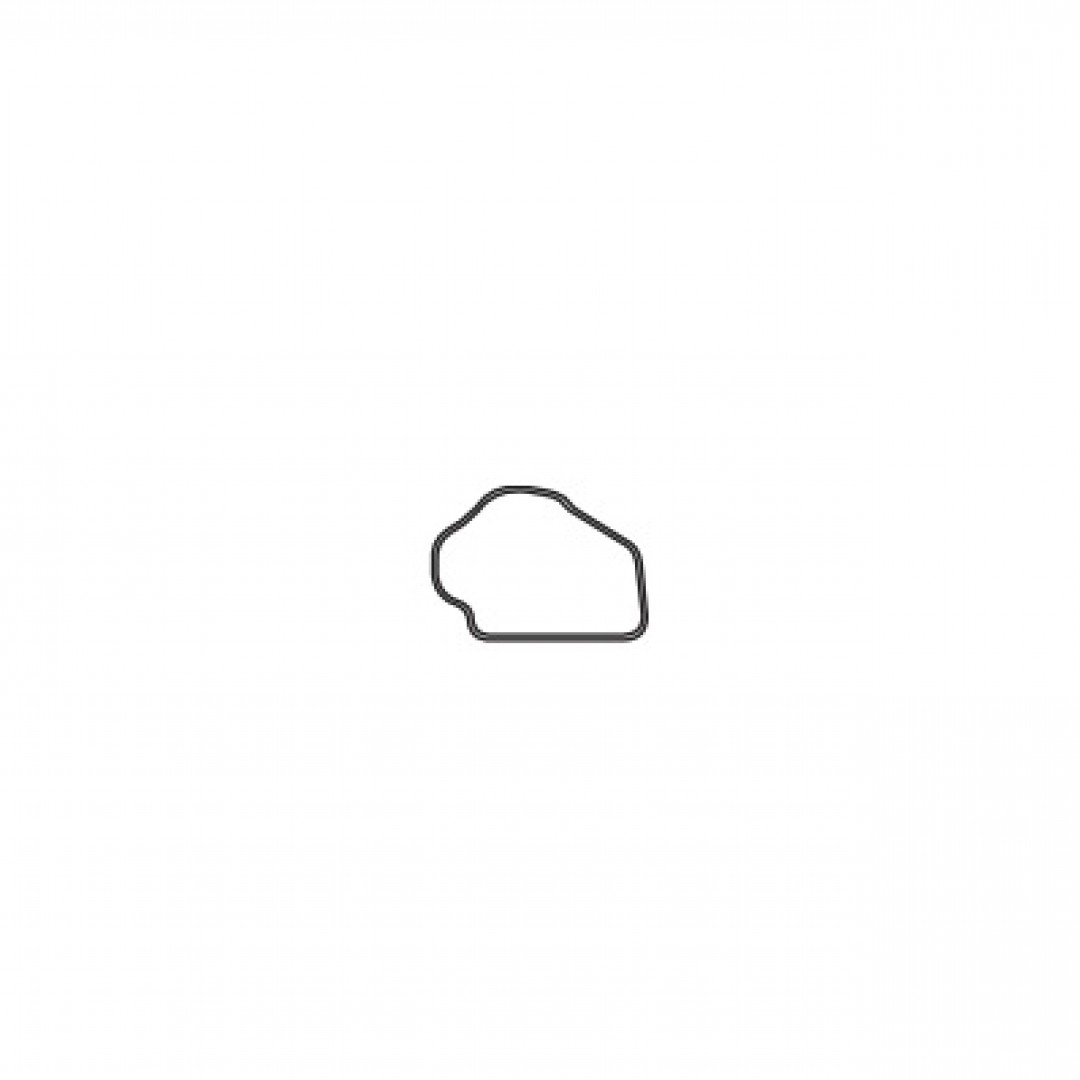 guarnicion-termostato-vectra-astra-16v-24454022-128731